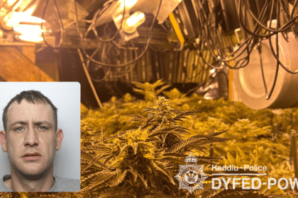 Martin Evans and the 200 cannabis plants found at his Kidwelly property