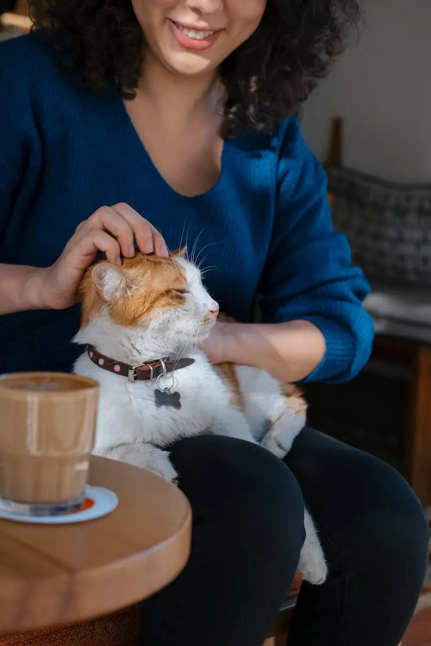 woman sitting and patting cat