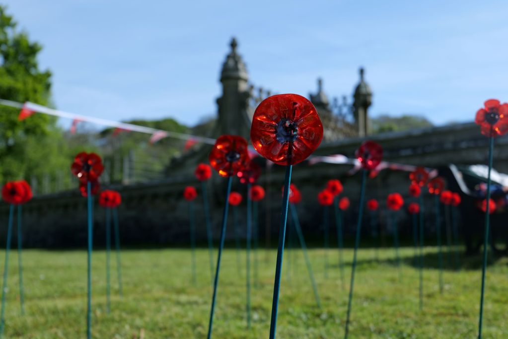 More than 3,000 handmade poppies crafted from upcycled plastic bottle ends have been individually painted