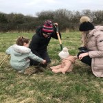 Community grants available for green infrastructure