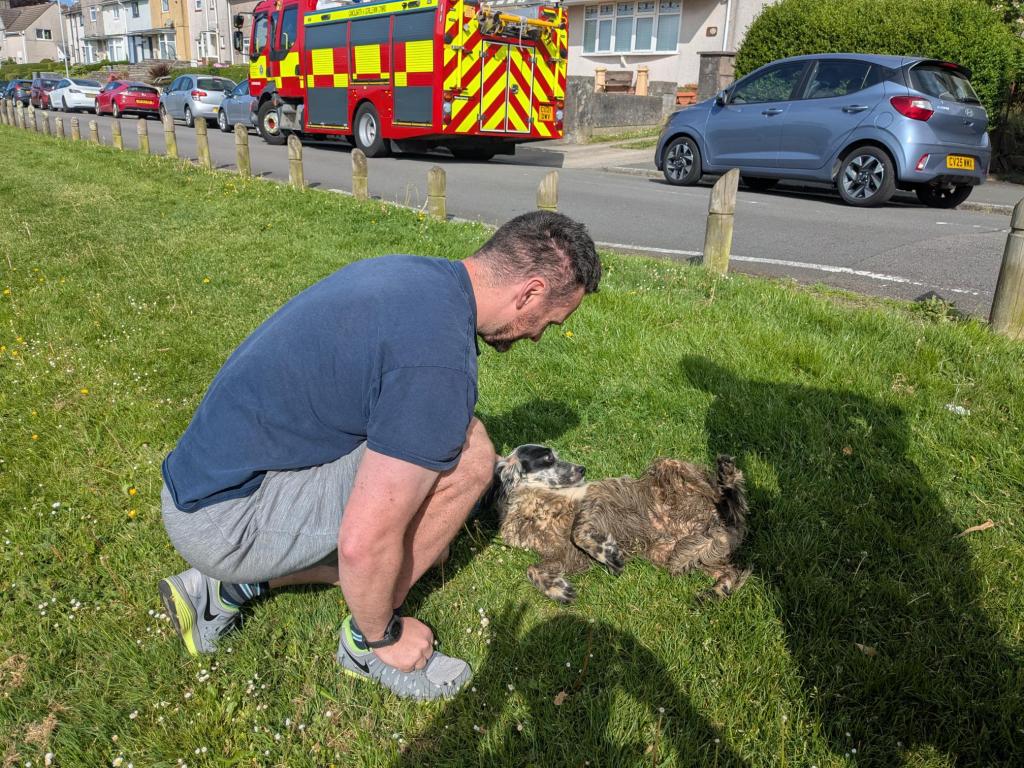 Daisy reunited with her owner