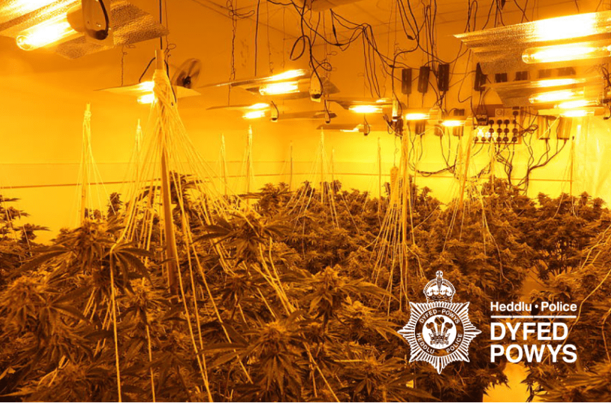 Cannabis farm discovered at a disused Lllanelli shop