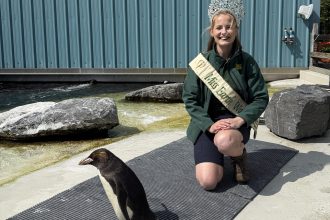 Abigail Wood at Folly farm's Penguin enclosure