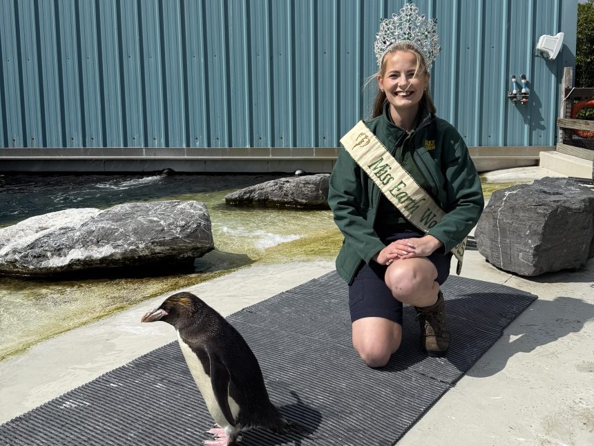 Abigail Wood at Folly farm's Penguin enclosure