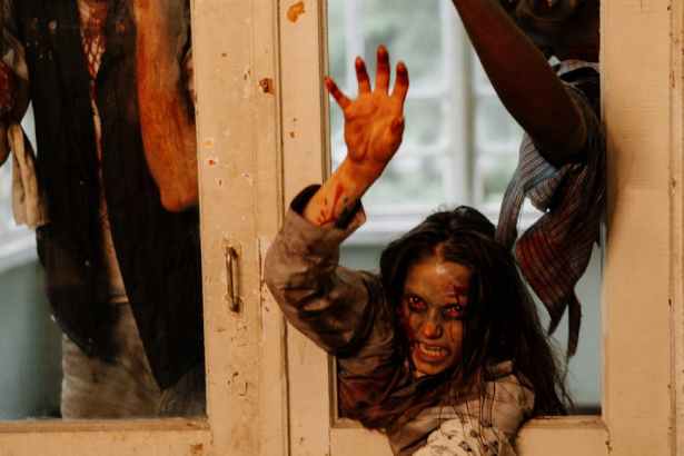 zombies behind shabby door