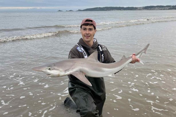 Alex McGlynn and his 40lb tope shark