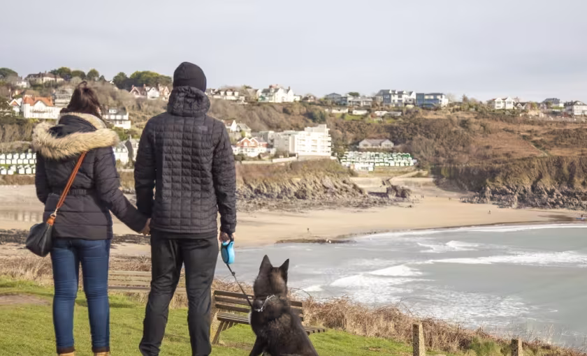 Dogs on beaches