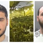 Aleksander Cela and Dennis Horeshka