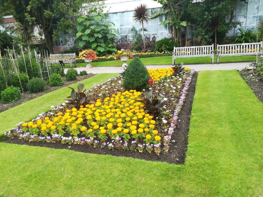 Singleton Park's Botanical Gardens