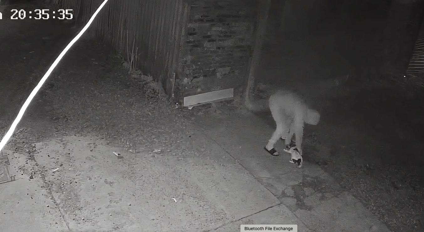 CCTV footage of Cameron Lee Wilson and Jack Russell, Casper.