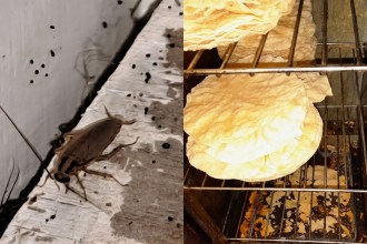Restaurant shut due to cockroach infestation and ‘filthy’ conditions