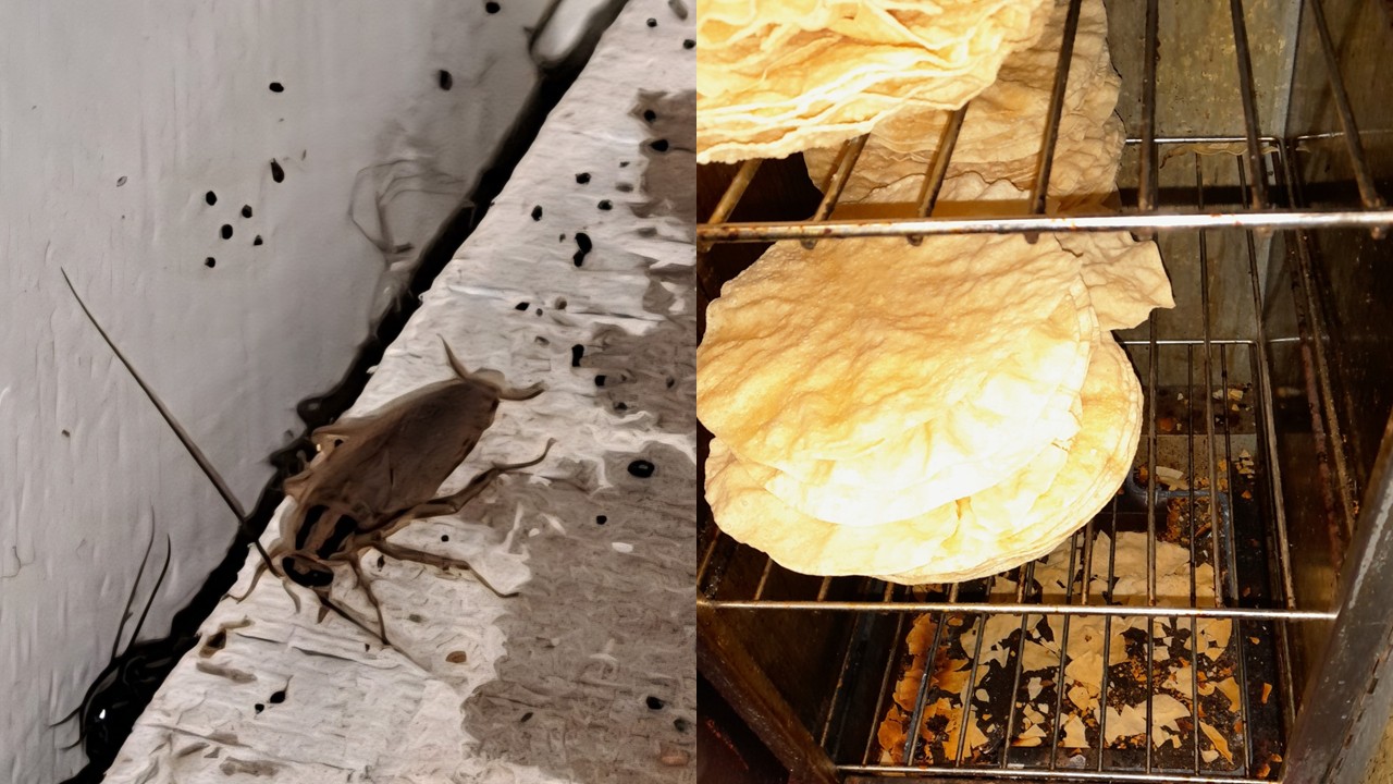 Restaurant shut due to cockroach infestation and ‘filthy’ conditions