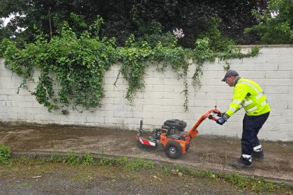 Weed ripper