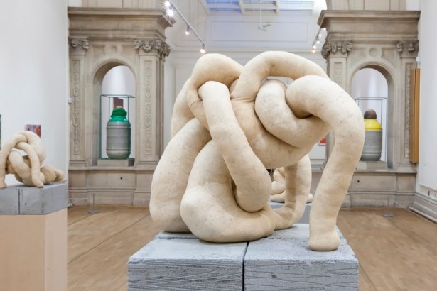 In The Days of the Comet - an installation from British Art Show 7