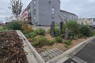 Rain Garden in Swansea's Sandfields