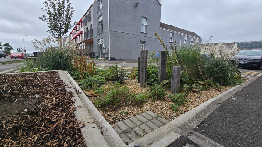 Rain Garden in Swansea's Sandfields