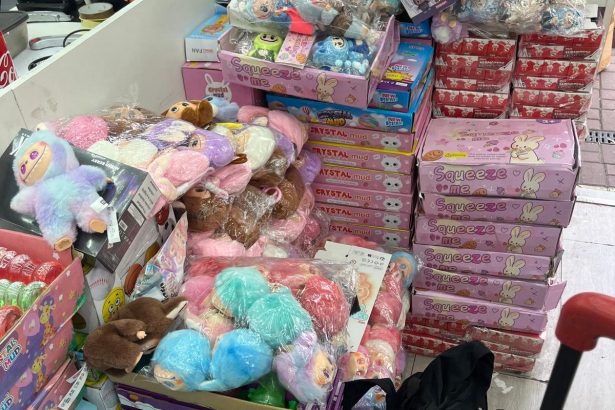 Fake labubu toys seized by Trading Standards