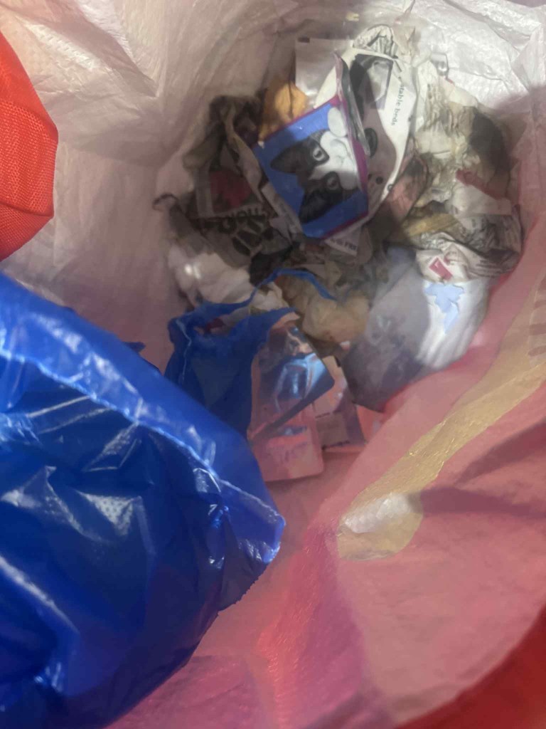 Six newborn kittens found in a plastic bag on the side of lane in Neath