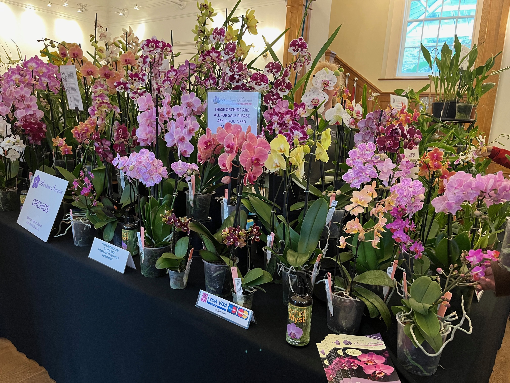 Orchids to take over Aberglasney Mansion for 20th Welsh Orchid Festival