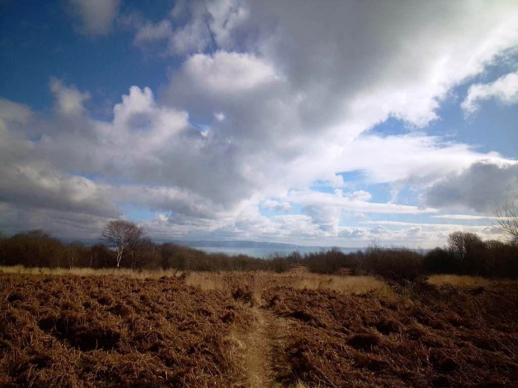 View of the eastern edge of Clyne Common at West Cross, Swansea — the land proposed for housing development.