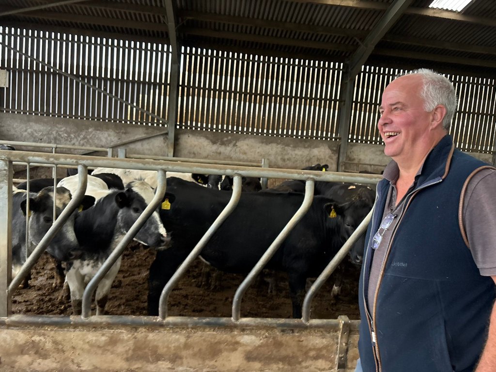 Andrew RT Davies standing in a field with cattle