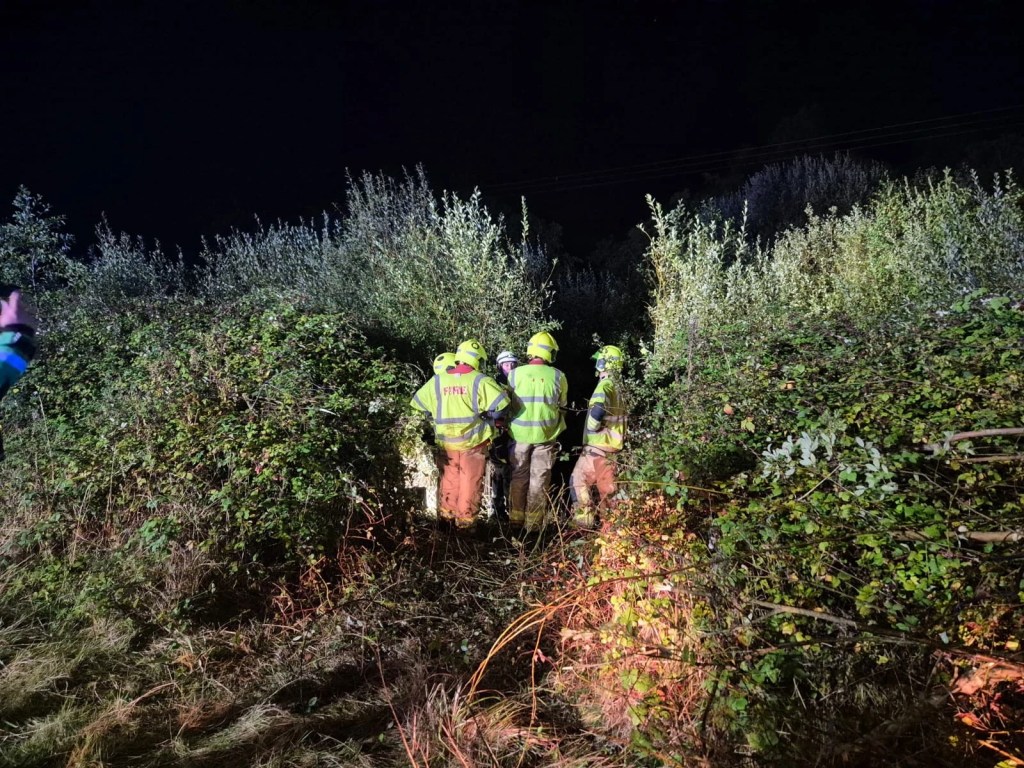Five fire fighters stand in dense woodland during the emergency response to a road traffic collision near Llwynhendy.