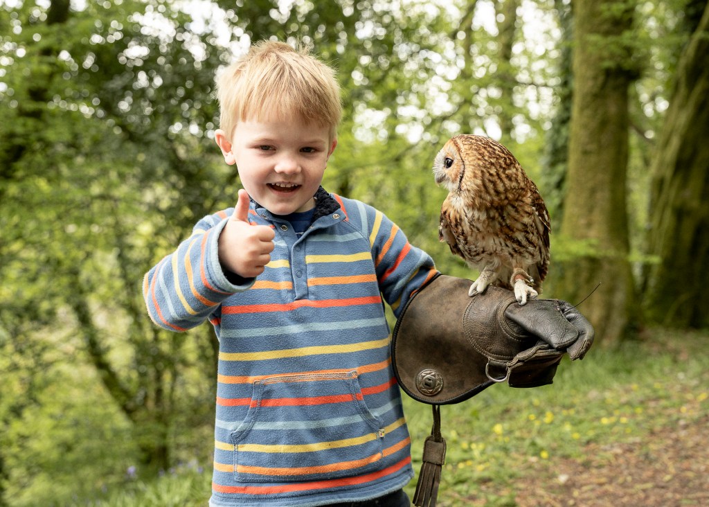 Smiling boy wearing a glove with an owl perched on it at the British Bird of Prey Centre, raising his other hand in a thumbs up gesture.