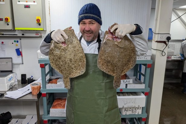 Scott Quinnell smiling while holding two large flatfish during a night shift at Swansea Fish for new S4C series.