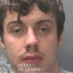 Custody photograph of Brandon Williams, 22, from Morriston, jailed for burglary and theft after targeting homes including that of a woman in her 90s.