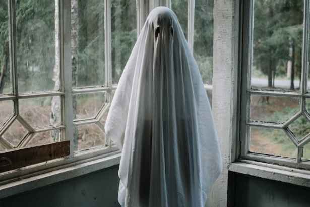 person in ghost costume standing beside windows