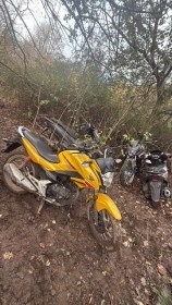 Five seized motorcycles lined up after being recovered by South Wales Police in woodland near Gorseinon.