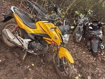 Five seized motorcycles lined up after being recovered by South Wales Police in woodland near Gorseinon.