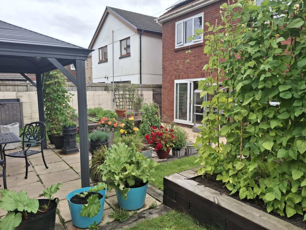 Garden with birthday balloons and clothesline in Clive Jeffries’ Gorseinon home
