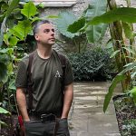 Jason Paine reaching into grapevine foliage at Aberglasney Gardens, wearing a green Abeja wine production shirt.