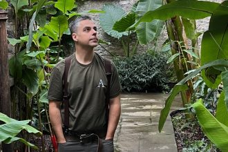 Jason Paine reaching into grapevine foliage at Aberglasney Gardens, wearing a green Abeja wine production shirt.