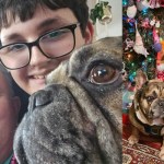 French bulldog Alfie with family members and sitting by a decorated Christmas tree with presents.