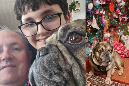 French bulldog Alfie with family members and sitting by a decorated Christmas tree with presents.