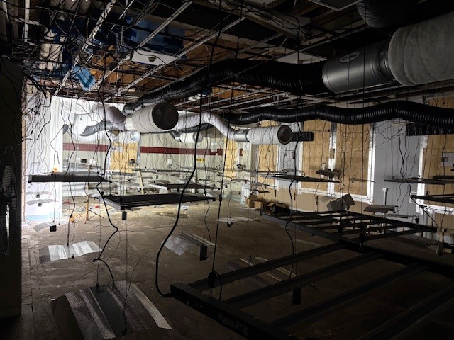 Interior of abandoned M&S store showing exposed ceiling, hanging cables, and metal frames — part of suspected cannabis setup.