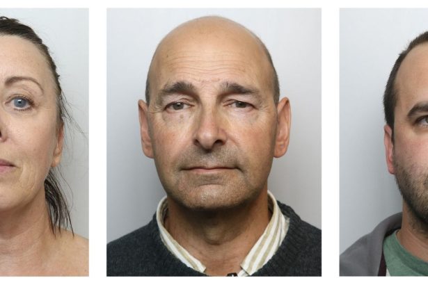 Portraits of Edward, Linda and Daniel McCann against plain backgrounds — linked to cannabis case.