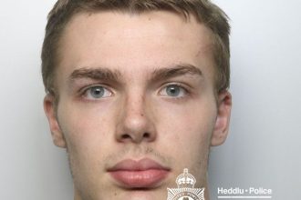 Custody image of Jake Richards, 19, who was jailed for raping a 12‑year‑old girl. Image: Dyfed‑Powys Police.
