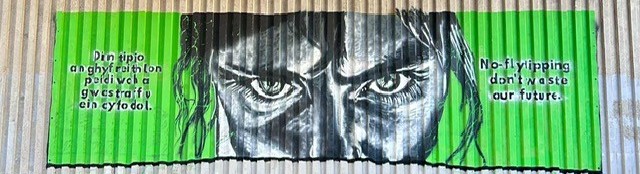 Close‑up of a black‑and‑white face with vivid green eyes painted on a corrugated wall, with Welsh and English anti‑fly‑tipping messages.