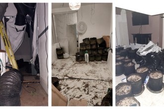 Montage of three images showing damaged rooms and equipment left behind from a disbanded cannabis factory inside a rented property in Sandfields, Swansea.
