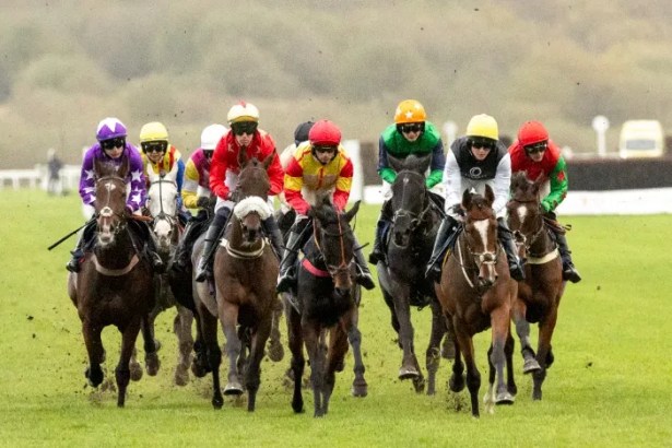 Horses racing at Ffos Las Racecourse on soft ground, with jockeys pushing for position near the home straight.