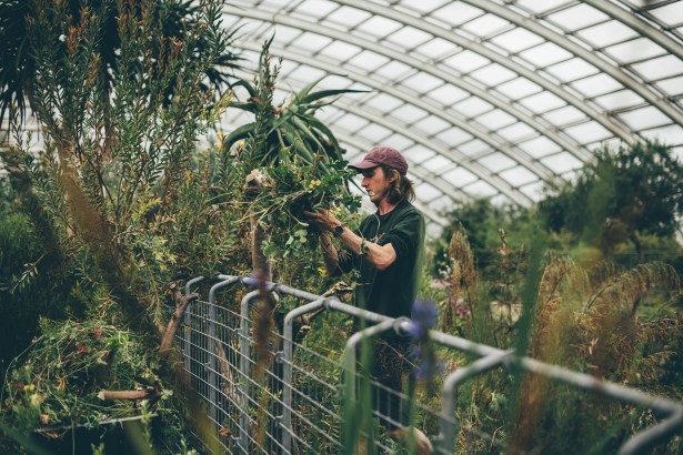 Person holding freshly cut greenery while tending plants inside a large glasshouse filled with shrubs and succulents.