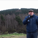Cllr Hale filmed his announcement with Kilvey Hill's wooded area in the background. The council has countered claims that tree felling is happening without permission, stating planning consent was granted in July 2025