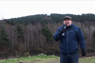 Cllr Hale filmed his announcement with Kilvey Hill's wooded area in the background. The council has countered claims that tree felling is happening without permission, stating planning consent was granted in July 2025