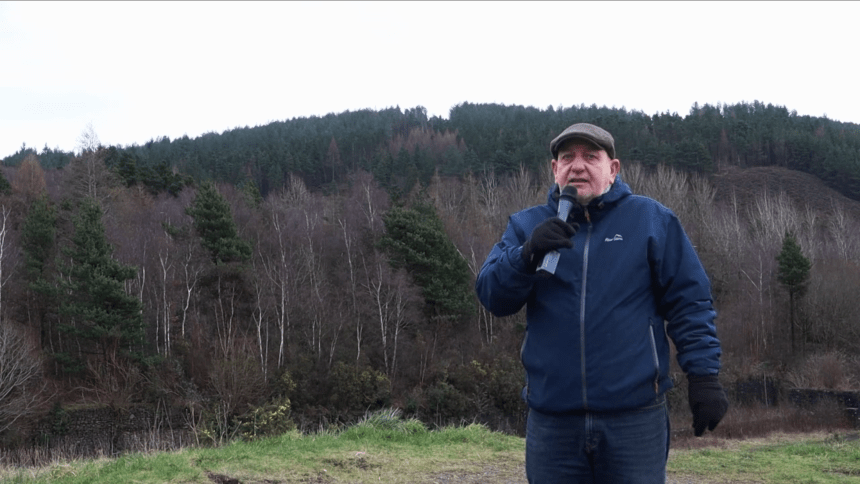 Cllr Hale filmed his announcement with Kilvey Hill's wooded area in the background. The council has countered claims that tree felling is happening without permission, stating planning consent was granted in July 2025