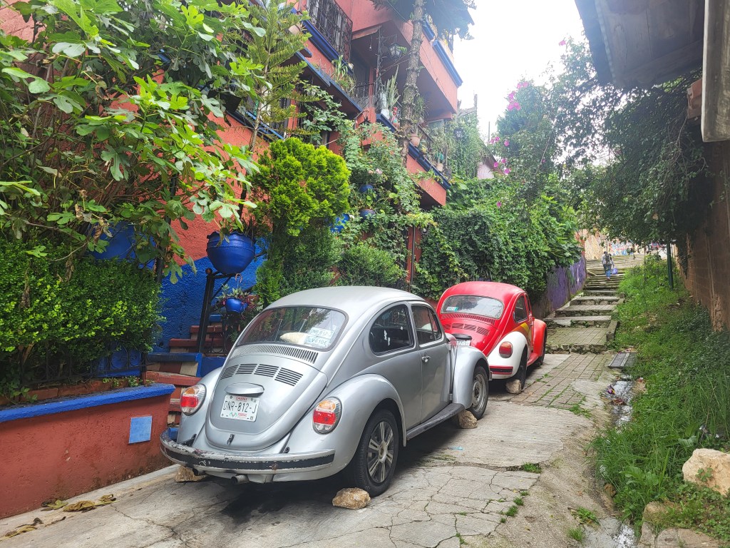 Two VW Beetles parked on a narrow, plant‑lined street in Mexico.