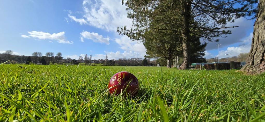 Cricket ball on grass at Swansea Bay Sports Park with trees and playing fields in the background