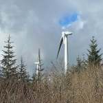 Two wind turbines rising above scrubland and pine trees at Brechfa Forest West Wind Farm in Carmarthenshire.
